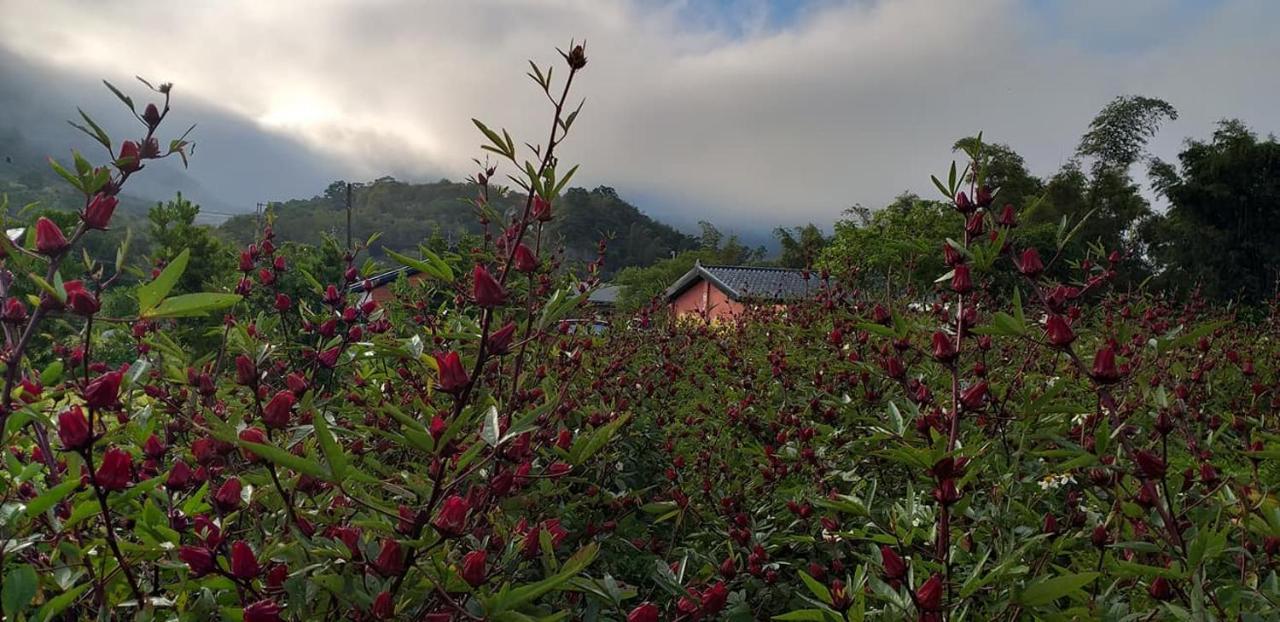 Fengnan Tianzhuang Homestay Fuli Exterior foto